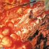 ABSOLUTE SUPERMAN Nº13 [GRAPA]