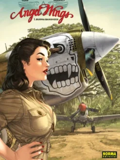 ANGEL WINGS VOL.1: BURMA BANSHEES [CARTONE]