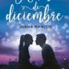 ANTES DE DICIEMBRE [RUSTICA]