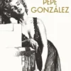 ARTE DE PEPE GONZALEZ, EL [CARTONE]