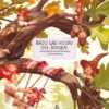 BAJO LAS HOJAS DEL BOSQUE [CARTONE]