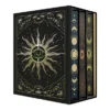 BLACK BIRD ACADEMY (COFRE + CARTA DE LA AUTORA + CARTAS DEL TAROT + ILUSTRACION DE GONZALO A. MENDIVERRY) [CARTONE]