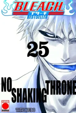 BLEACH BESTSELLER Nº25 [RUSTICA]
