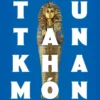 COSAS MARAVILLOSAS: CIEN AÑOS DEL DESCUBRIMIENTO DE TUTANKHAMON [RUSTICA]