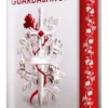 GUARDASANGRE (EDICION ESPECIAL LIMITADA) [CARTONE]