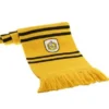 HARRY POTTER: BUFANDA CASA HUFFLEPUFF (190 CMS)