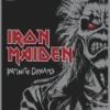 IRON MAIDEN: INFINITE DREAMS [CARTONE]
