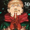 JUJUTSU KAISEN Nº30: ULTIMO TOMO (GUERRA DE HECHICEROS) [RUSTICA]