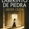 LABERINTO DE PIEDRA, EL [CARTONE]