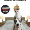 MALDITO KARMA [BOLSILLO]