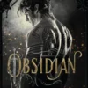 OBSIDIAN (LOS FAE DE LAS SOMBRAS 1) [RUSTICA]