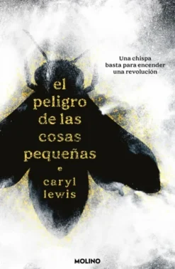 PELIGRO DE LAS COSAS PEQUEÑAS, EL [RUSTICA]