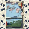 PEQUEÑO LIBRO DE JAPON, EL [CARTONE]