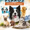PERROS: RAZAS MAS FAMOSAS [CARTONE]