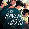 THE RAVEN BOYS VOL.1 (LA NOVELA GRAFICA) [RUSTICA]