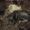 THE WITCHER VOL.05: RECUERDOS EVANESCENTES [CARTONE]