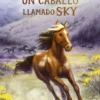 UN CABALLO LLAMADO SKY [RUSTICA]